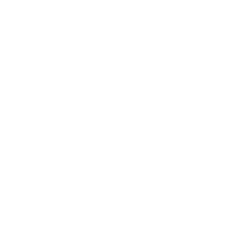 2025-alasca-focis-Logo-weiß